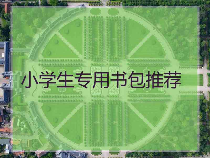 小学生专用书包推荐