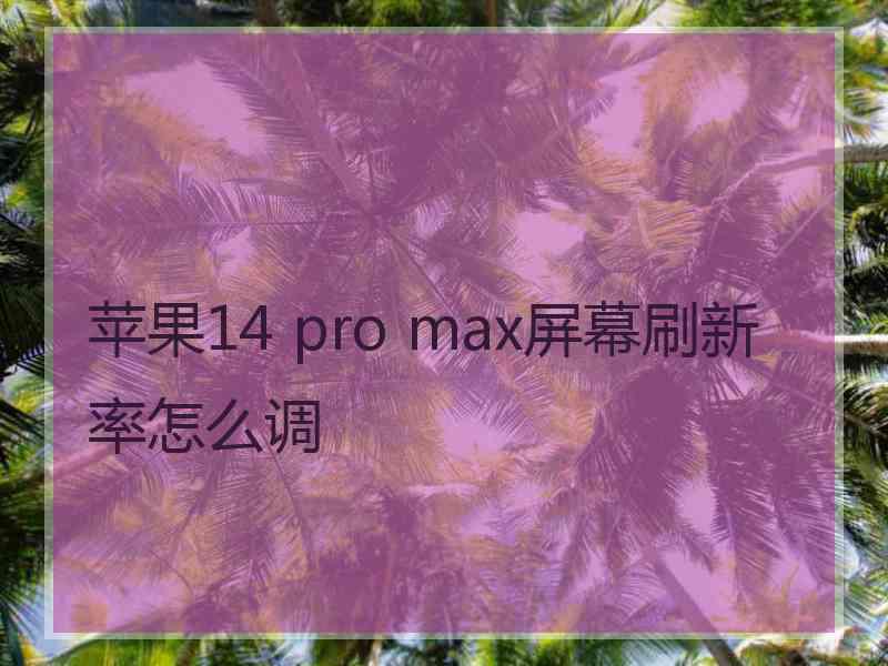 苹果14 pro max屏幕刷新率怎么调