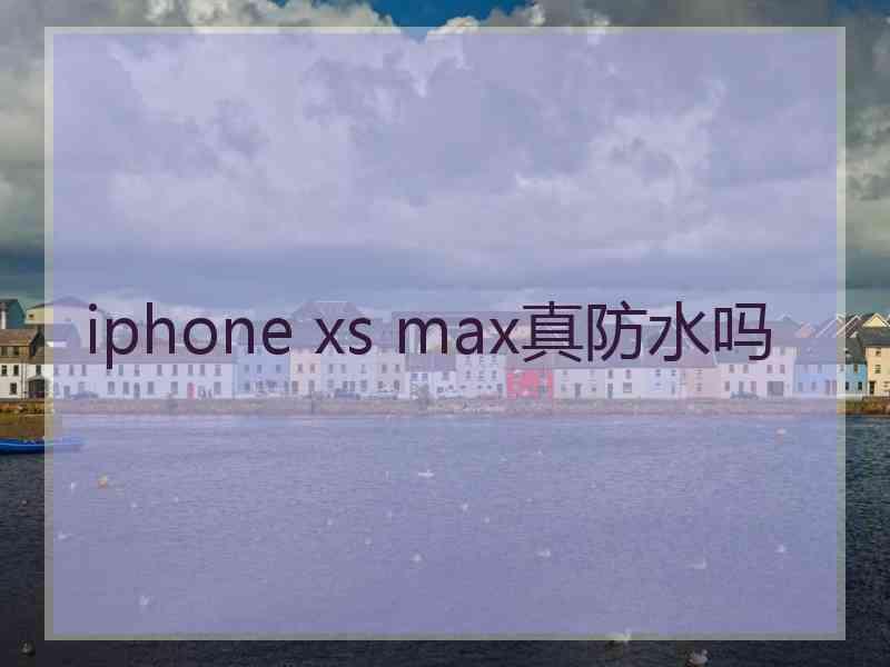 iphone xs max真防水吗