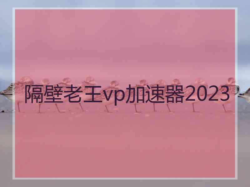 隔壁老王vp加速器2023