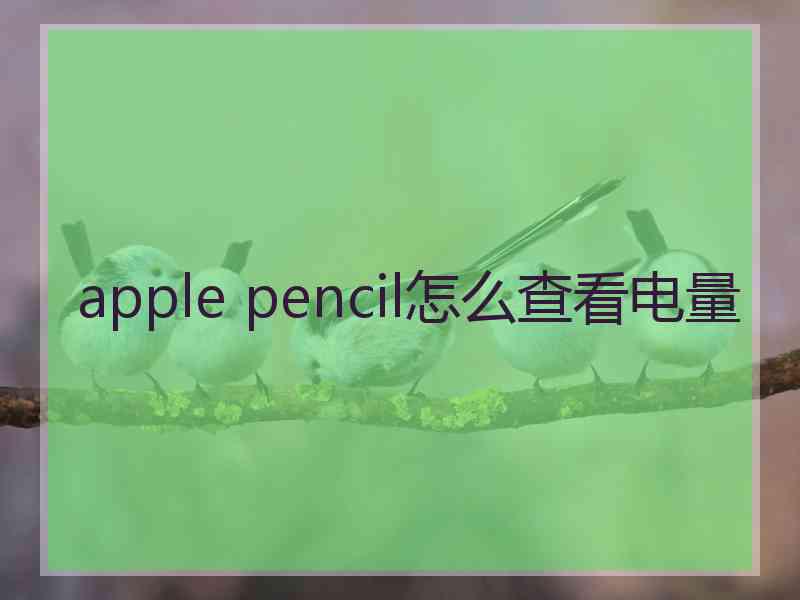 apple pencil怎么查看电量