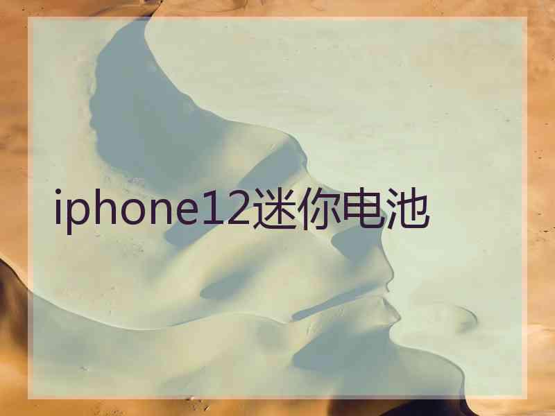 iphone12迷你电池