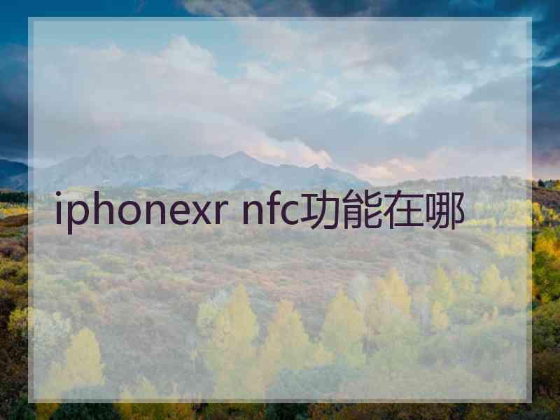 iphonexr nfc功能在哪