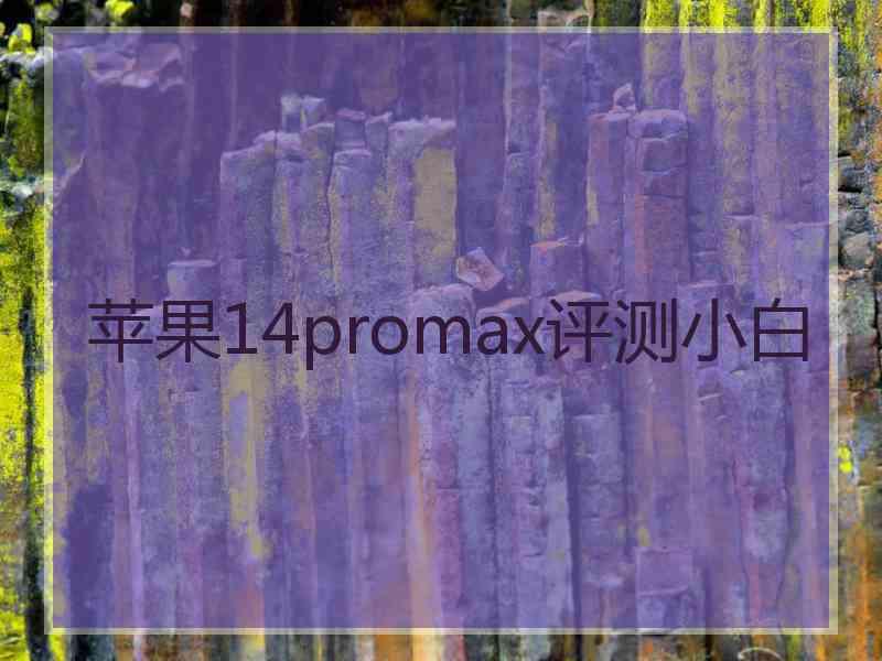 苹果14promax评测小白