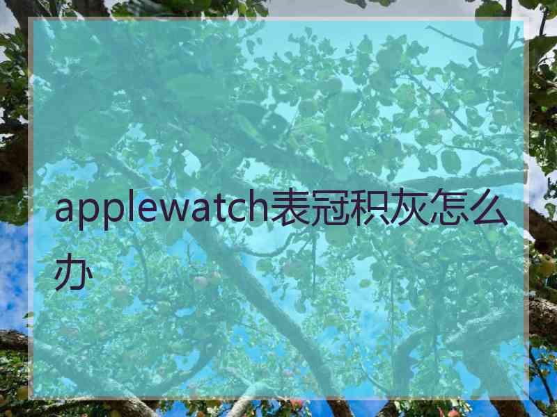 applewatch表冠积灰怎么办