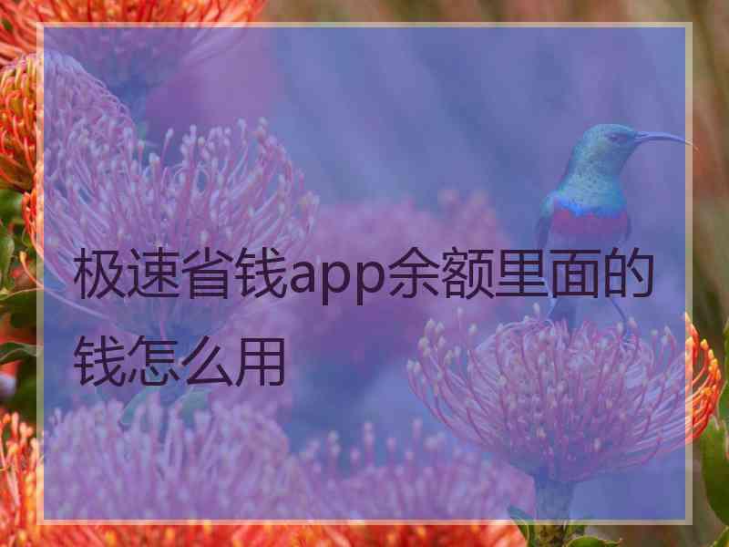 极速省钱app余额里面的钱怎么用