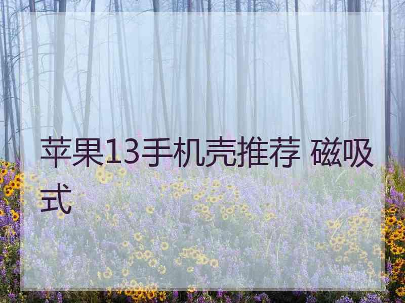 苹果13手机壳推荐 磁吸式