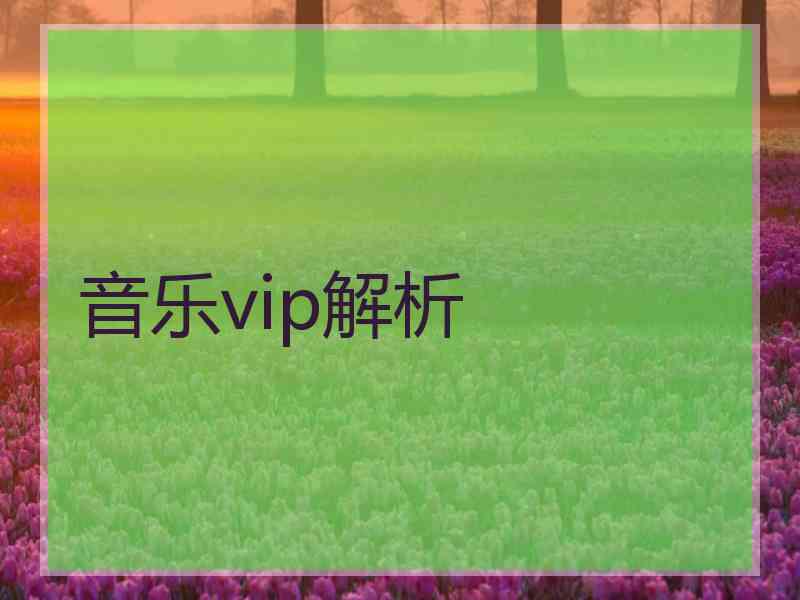 音乐vip解析