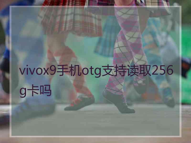 vivox9手机otg支持读取256g卡吗