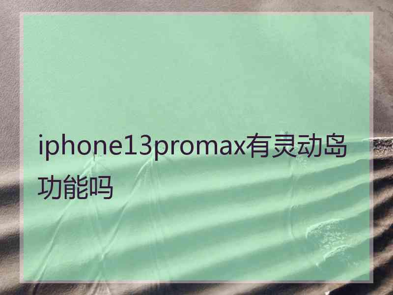 iphone13promax有灵动岛功能吗