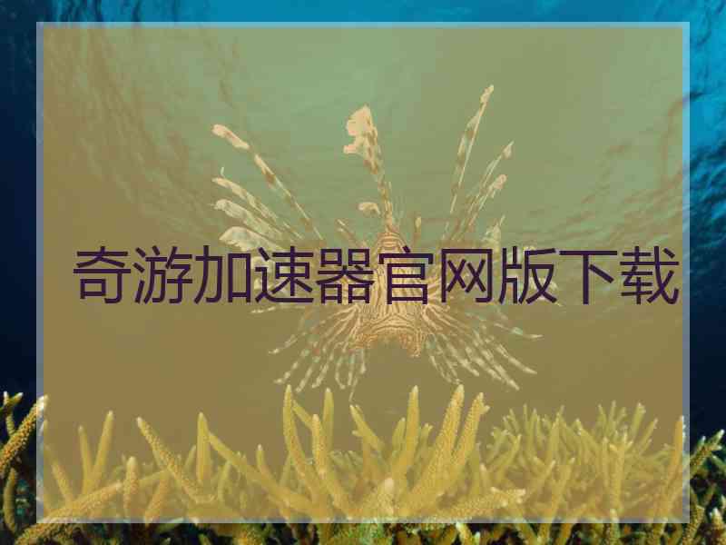 奇游加速器官网版下载