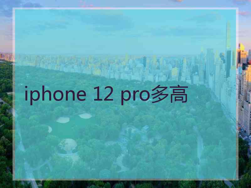 iphone 12 pro多高