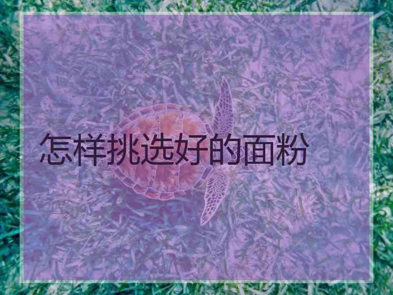 怎样挑选好的面粉