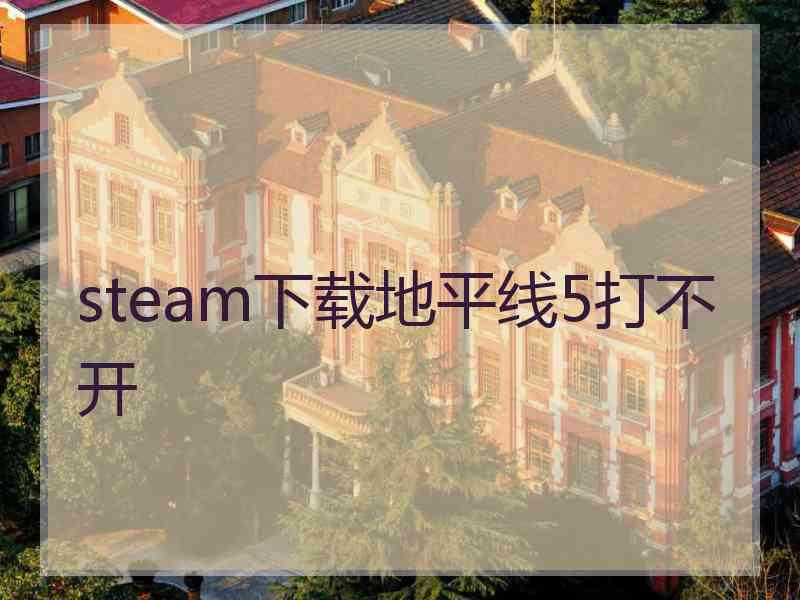 steam下载地平线5打不开