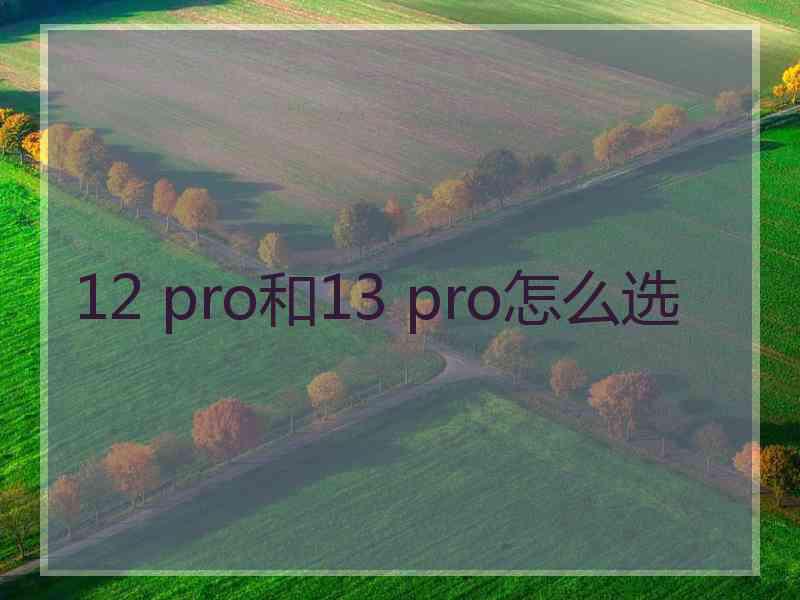 12 pro和13 pro怎么选