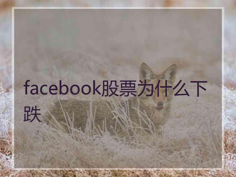 facebook股票为什么下跌