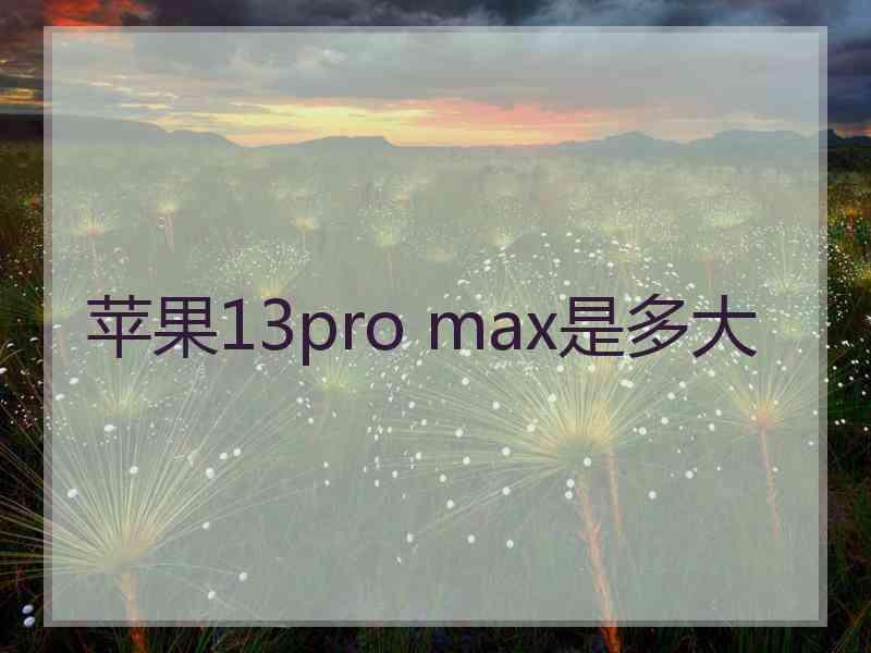 苹果13pro max是多大