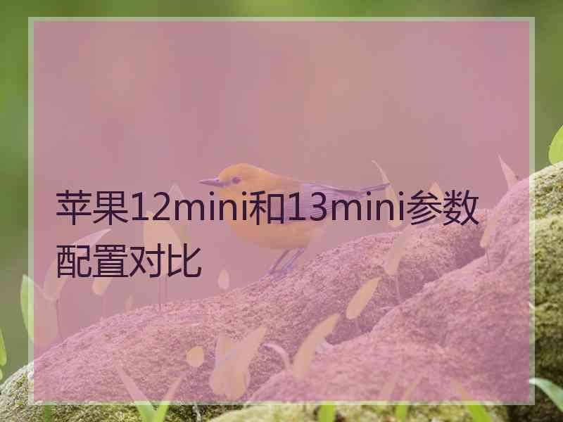 苹果12mini和13mini参数配置对比