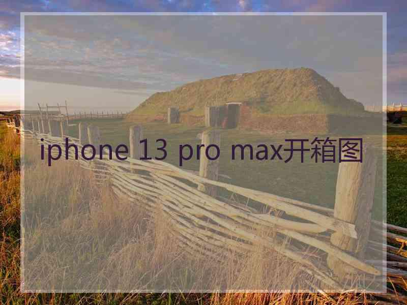 iphone 13 pro max开箱图