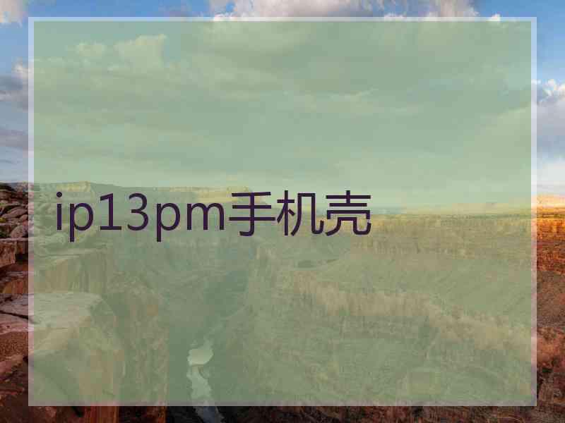 ip13pm手机壳