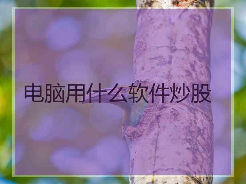 电脑用什么软件炒股