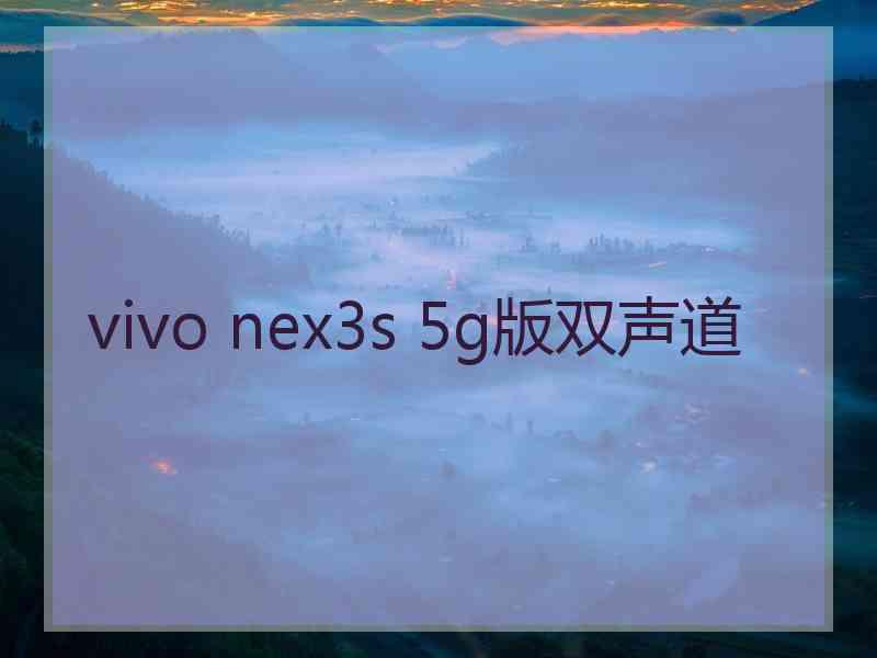 vivo nex3s 5g版双声道