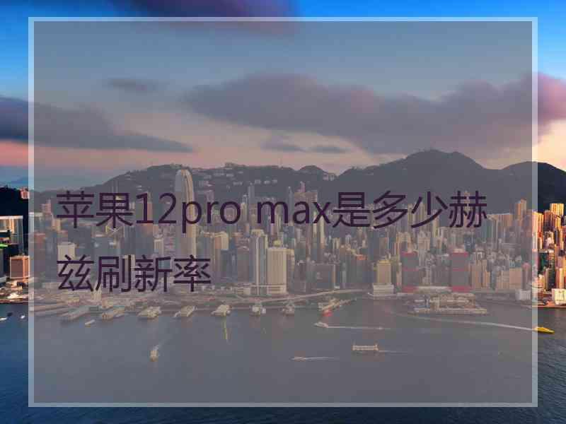 苹果12pro max是多少赫兹刷新率