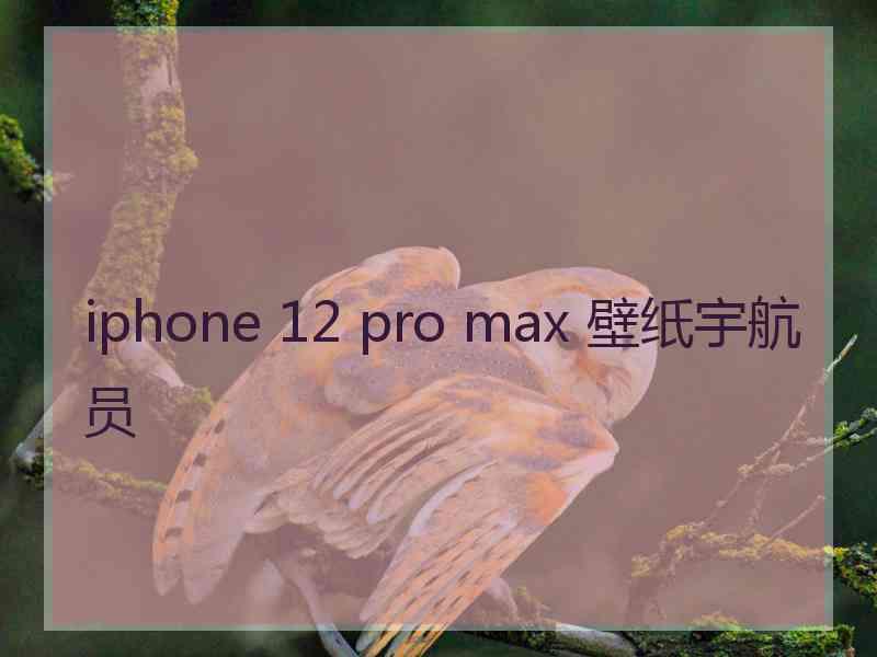 iphone 12 pro max 壁纸宇航员