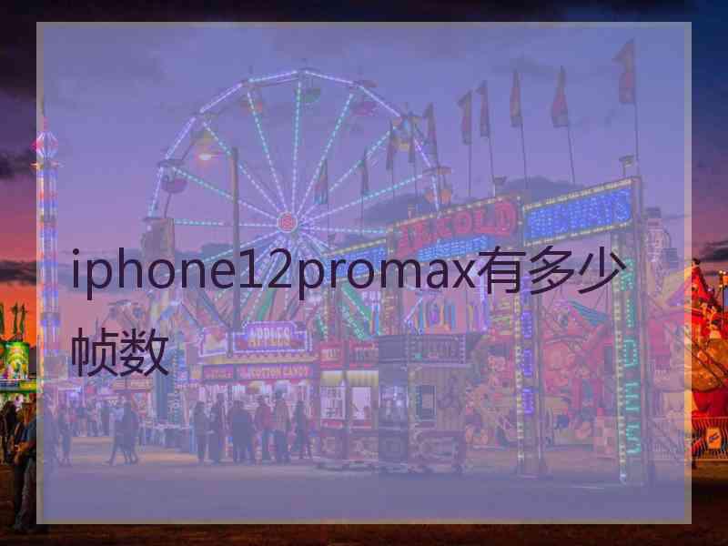 iphone12promax有多少帧数