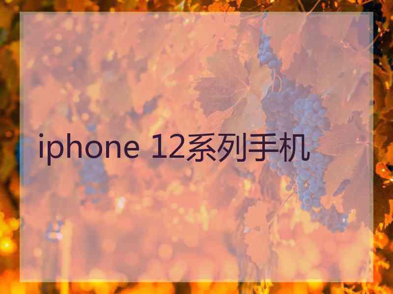 iphone 12系列手机