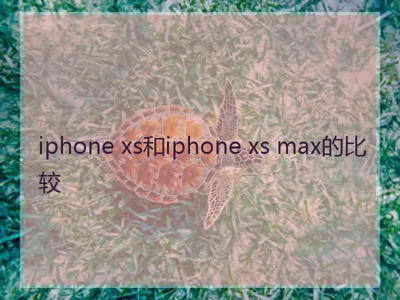 iphone xs和iphone xs max的比较