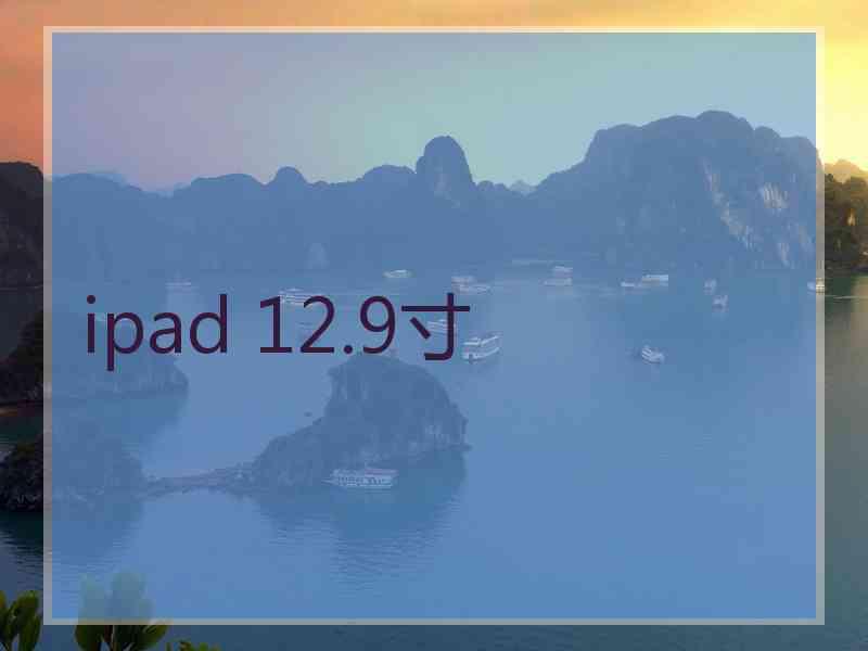 ipad 12.9寸