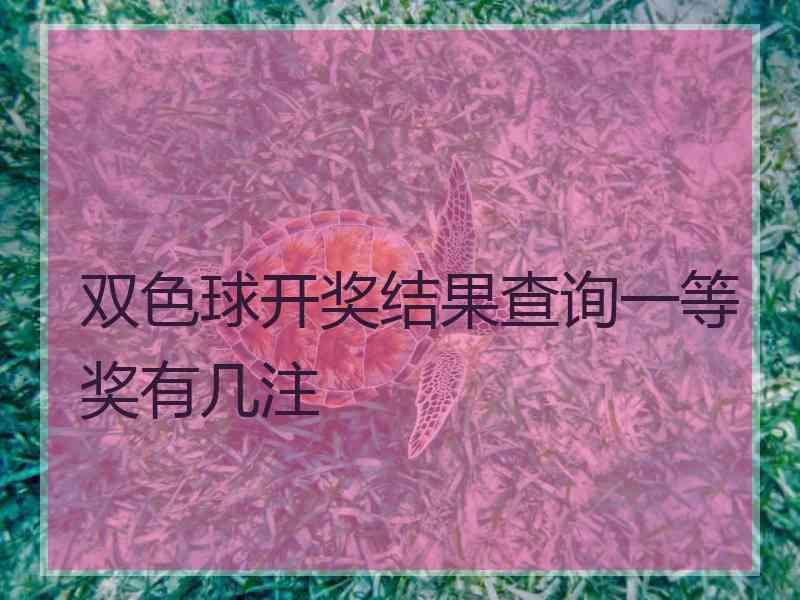 双色球开奖结果查询一等奖有几注