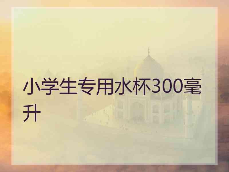 小学生专用水杯300毫升