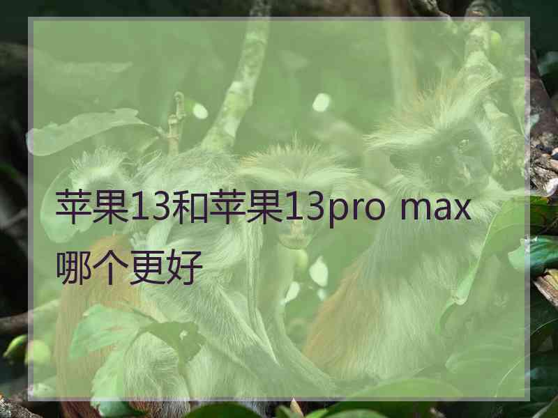 苹果13和苹果13pro max哪个更好