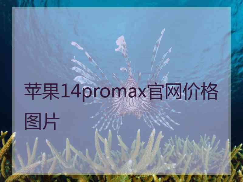 苹果14promax官网价格图片