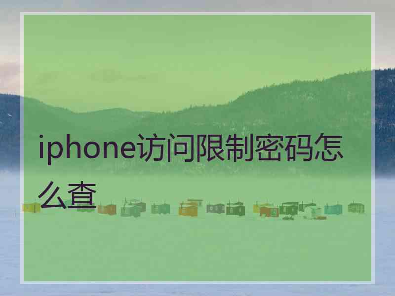 iphone访问限制密码怎么查