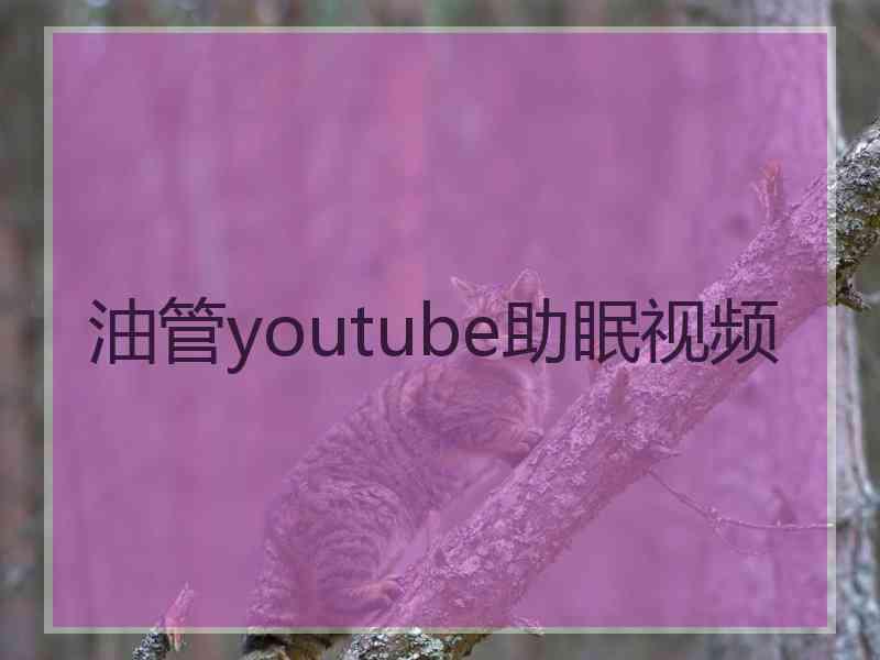 油管youtube助眠视频