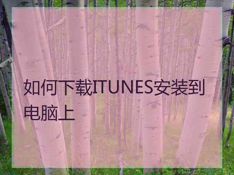 如何下载ITUNES安装到电脑上