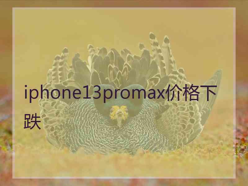 iphone13promax价格下跌