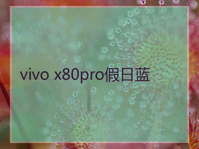 vivo x80pro假日蓝