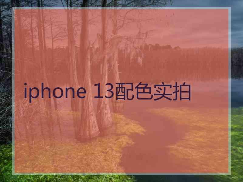 iphone 13配色实拍