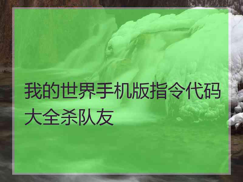 我的世界手机版指令代码大全杀队友