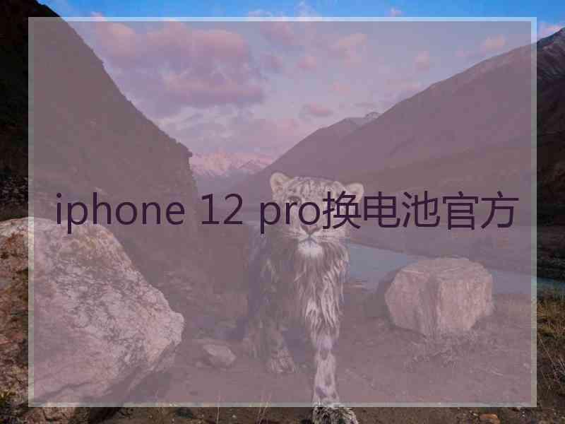 iphone 12 pro换电池官方