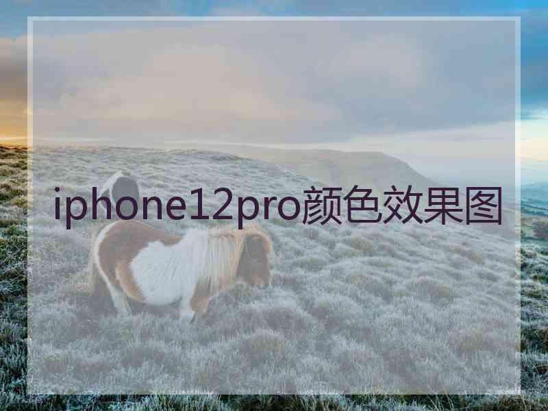 iphone12pro颜色效果图