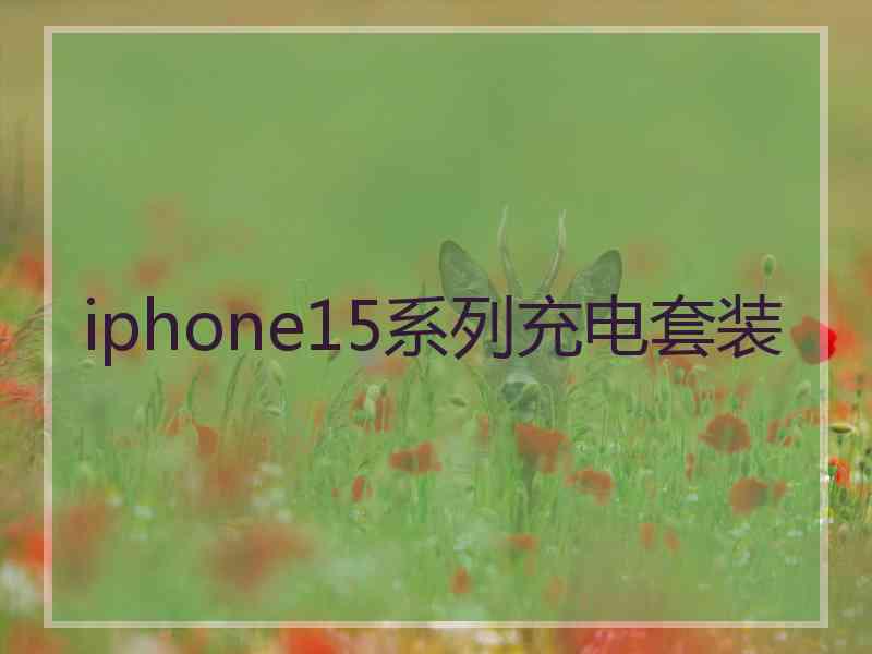 iphone15系列充电套装