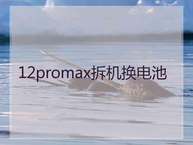 12promax拆机换电池