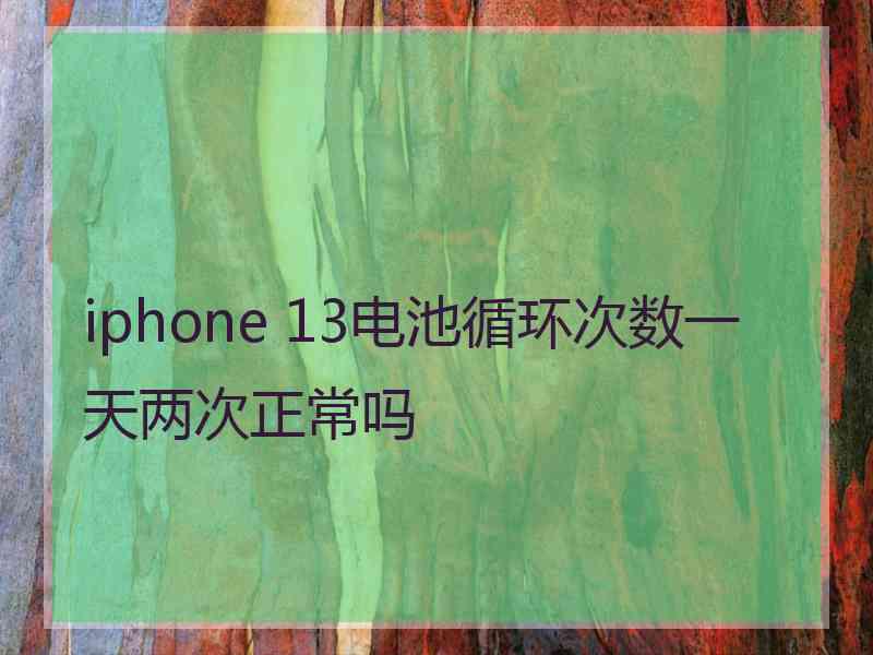 iphone 13电池循环次数一天两次正常吗