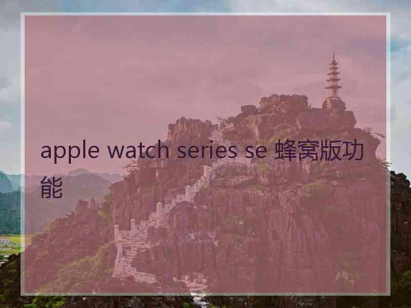 apple watch series se 蜂窝版功能