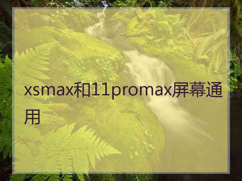 xsmax和11promax屏幕通用